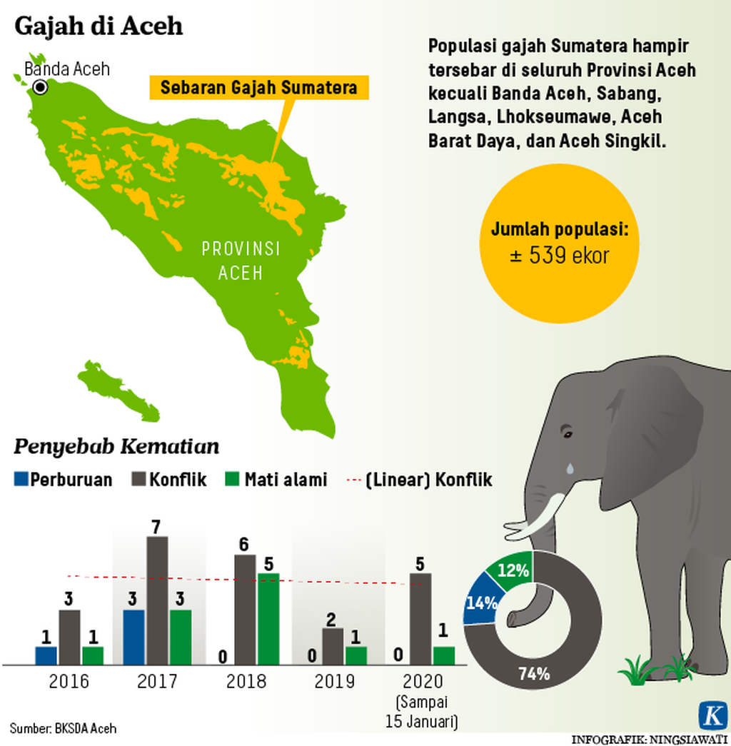 https://assetd.kompas.id/-DJgfIiWKXzU3rt24kIvD-Q5NbQ=/1024x1045/https%3A%2F%2Fkompas.id%2Fwp-content%2Fuploads%2F2020%2F01%2F20200116-NSW-Kematian-Gajah-mumed_1579175487.png