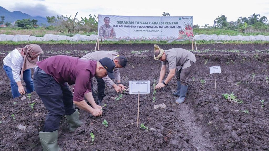 Pemerintah Kota Batu bersama Forum Komunikasi Pimpinan Daerah menaman bibit cabai serentak, Kamis (9/2/2023). Total ada 5.000 bibit cabai yang ditanam di lima kelurahan.