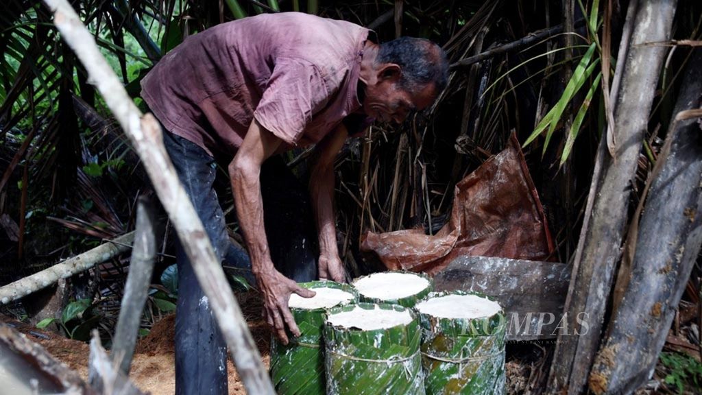 Seorang warga sedang memproduksi sagu di Desa Masihulan, Kecamatan Seram Utara, Maluku Tengah, Minggu (5/5/2019). 