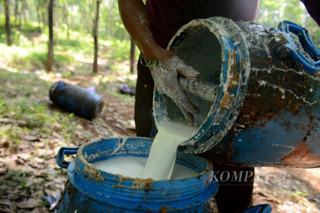 https://assetd.kompas.id/-f9f9oHxpD_riKdFYPfm9b4r2Yg=/1024x684/filters:watermark(https://cdn-content.kompas.id/umum/kompas_main_logo.png,-16p,-13p,0)/https%3A%2F%2Fkompas.id%2Fwp-content%2Fuploads%2F2019%2F11%2F20191125WEN1_1574668362.jpg