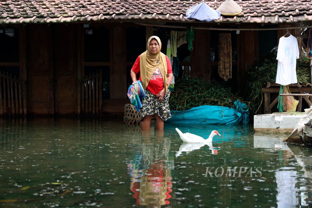 Sarmini bersama entok piaraannya saat berada di rumahnya yang masih tergenang banjir di Desa Kasiyan, Kecamatan Sukolilo, Kabupaten Pati, Jawa Tengah, Kamis (16/3/2023). Banjir yang menggenangi sejumlah wilayah di Kabupaten Pati, Kudus dan Rembang terjadi selama beberapa bulan. 