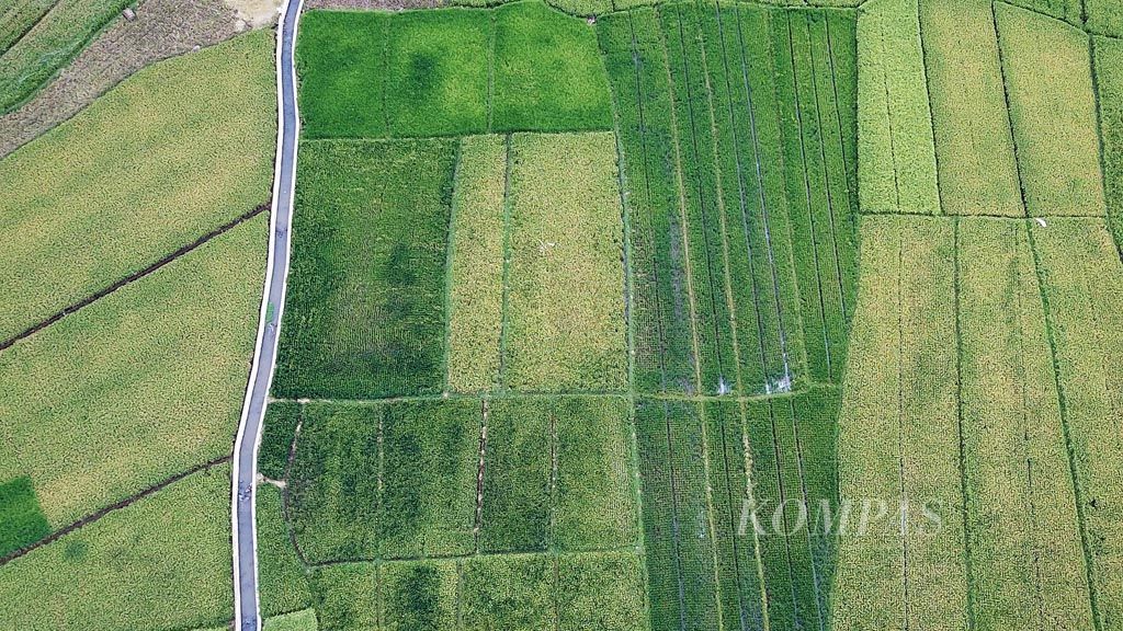 https://assetd.kompas.id/-xqvhAZj4cyHliK90kbpktUoBVM=/1024x576/filters:watermark(https://cdn-content.kompas.id/umum/kompas_main_logo.png,-16p,-13p,0)/https%3A%2F%2Fkompas.id%2Fwp-content%2Fuploads%2F2018%2F12%2F20181217_ENGLISH-ANALISIS-EKONOMI_A_web_1545054935.jpg