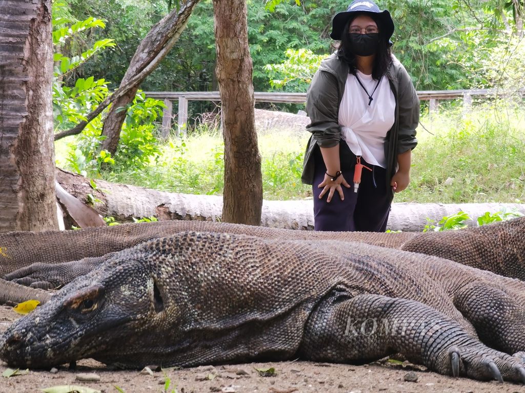 https://assetd.kompas.id/0D_mBl2ourR_N-Fx1Qde-841lkc=/1024x768/filters:watermark(https://cdn-content.kompas.id/umum/kompas_main_logo.png,-16p,-13p,0)/https%3A%2F%2Fkompas.id%2Fwp-content%2Fuploads%2F2021%2F03%2F41adc191-a750-499a-aaae-7b0cc00d6ebb_jpg.jpg