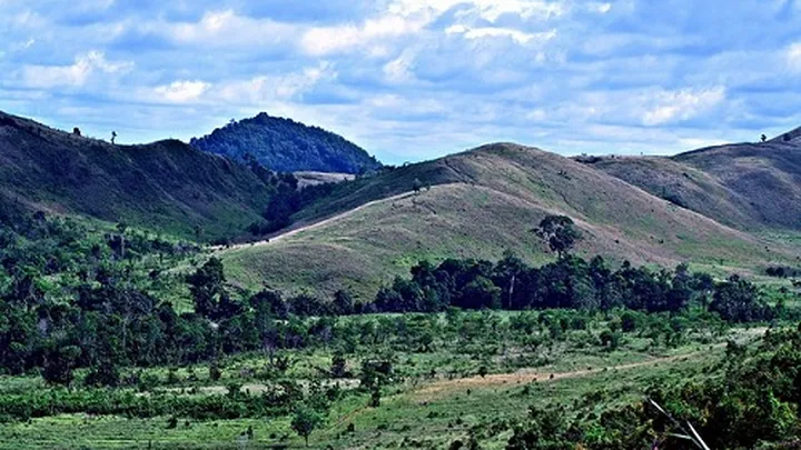 Teluku untuk artikel Pemda dan Warga Sungai Hulu Tengah Satu Suara Tolak Tambang di Pegunungan Meratus