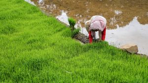 Food Growth Leap