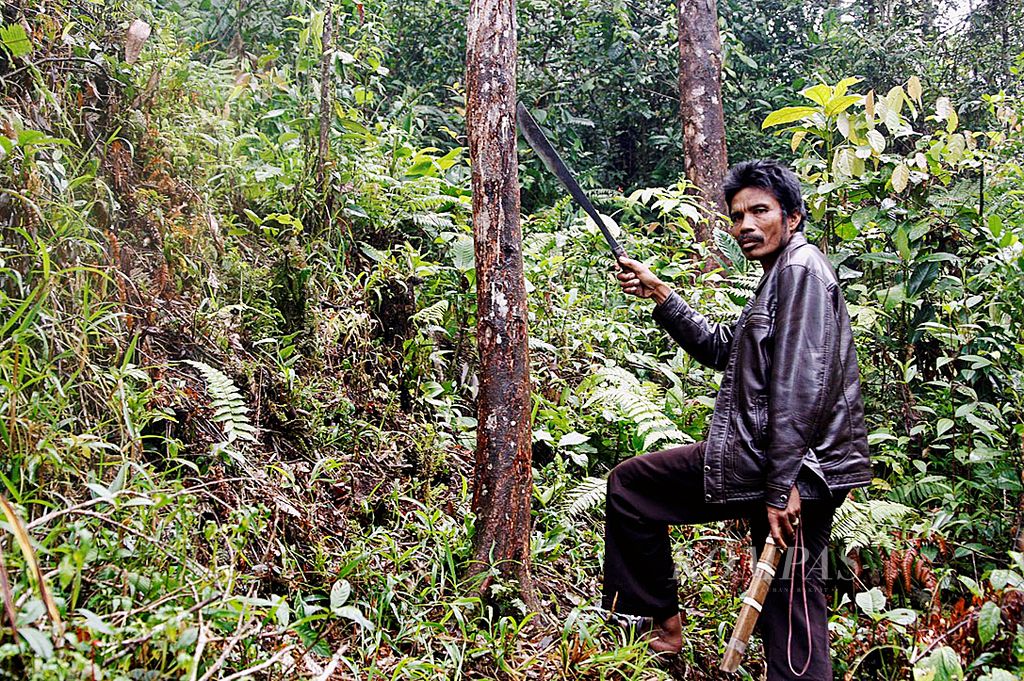 Kemenyan Punya Cerita - Kompas.id