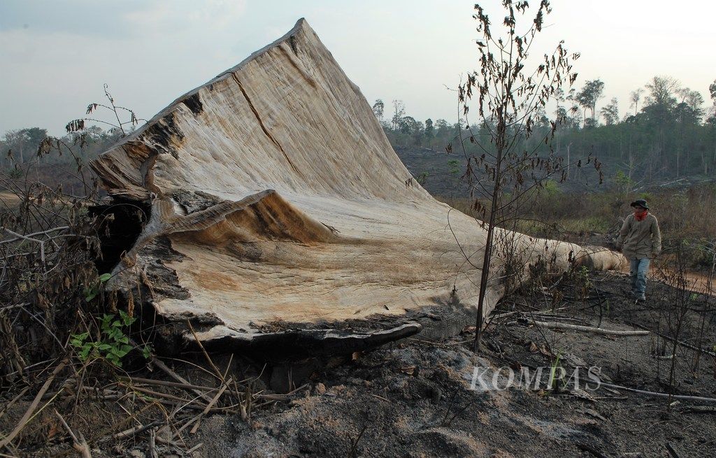 https://assetd.kompas.id/1tiwZIzI6_FPf47w0wCHpUwEV7Q=/1024x655/filters:watermark(https://cdn-content.kompas.id/umum/kompas_main_logo.png,-16p,-13p,0)/https%3A%2F%2Fkompas.id%2Fwp-content%2Fuploads%2F2019%2F09%2F2019%2F09%2F1c%2Ffbb%2F20190929ITAdjpg%2F20190929ITAdSILO.jpg