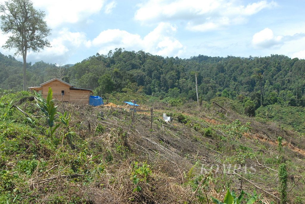 https://assetd.kompas.id/1vC2Kyo0zzXUrRurNpFNY4V8GIg=/1024x685/filters:watermark(https://cdn-content.kompas.id/umum/kompas_main_logo.png,-16p,-13p,0)/https%3A%2F%2Fkompas.id%2Fwp-content%2Fuploads%2F2019%2F05%2FAND_0727SILO.jpg