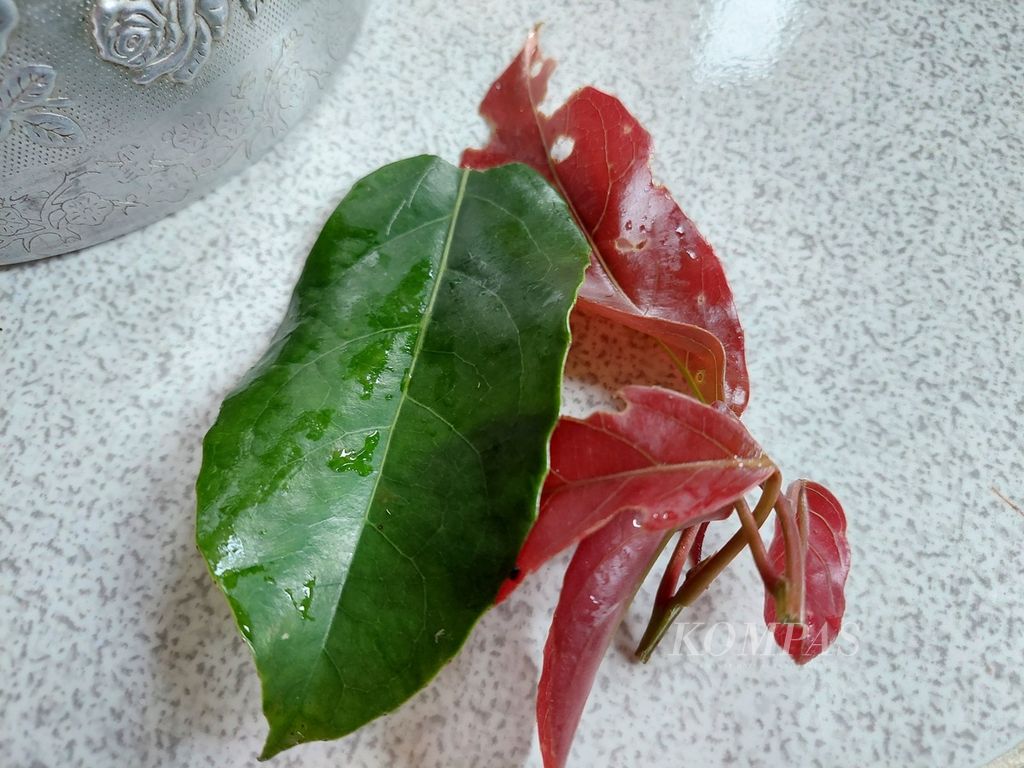 Cita rasa asam pada lempah urong tugang didapat dari daun pucuk kelampa. Tumbuhan itu banyak tumbuh di Desa Mendo Barat, Kabupaten Bangka, Provinsi Bangka Belitung. Di daerah lainnya, rasa asam masakan lempah didapat dari pucuk kedondong, pucuk nangka, atau terong asam.