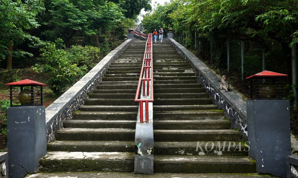 Seekor monyet menunggu pengunjung yang sedang menuruni tangga di Goa Kreo, Kecamatan Gunungpati, Kota Semarang, Jawa Tengah, Minggu (29/12/2024). Selain menikmati pemandangan alam, wisatawan bisa berinteraksi, termasuk memberi makan monyet selama berada di Goa Kreo. 