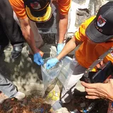 Tiga Selongsong Peluru Ditemukan