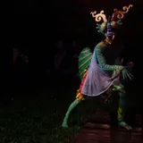 Pesan Para Serangga untuk Tetangga