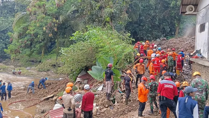 Teluku untuk artikel Pembelajaran dari Longsor di Bogor