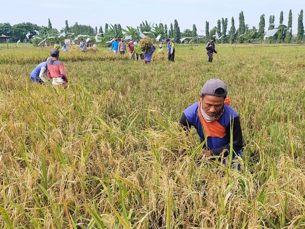 https://assetd.kompas.id/2fNlAafSqdrQ5Funi2DR8Ve9QnY=/1024x768/filters:watermark(https://cdn-content.kompas.id/umum/kompas_main_logo.png,-16p,-13p,0)/https%3A%2F%2Fkompas.id%2Fwp-content%2Fuploads%2F2022%2F01%2F2881aafd-761e-4ceb-81da-46fa611fab62_jpg.jpg