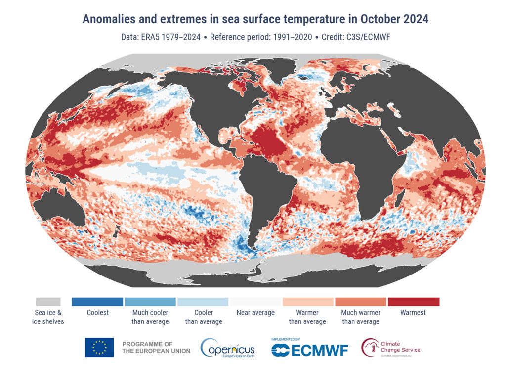 Anomali dan suhu permukaan laut yang ekstrem pada Oktober 2024. Kategori warna merujuk pada persentil distribusi suhu untuk periode referensi 1991–2020. Kategori ekstrem (Terdingin” dan Terhangat”) didasarkan pada peringkat untuk periode 1979-2024. Nilai dihitung hanya untuk lautan yang bebas es. Area yang tertutup es laut dan lapisan es pada Oktober 2024 ditampilkan dalam warna abu-abu muda (sumber data: ERA5).