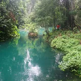 Kontribusi Swasta Bantu Capai SDGs