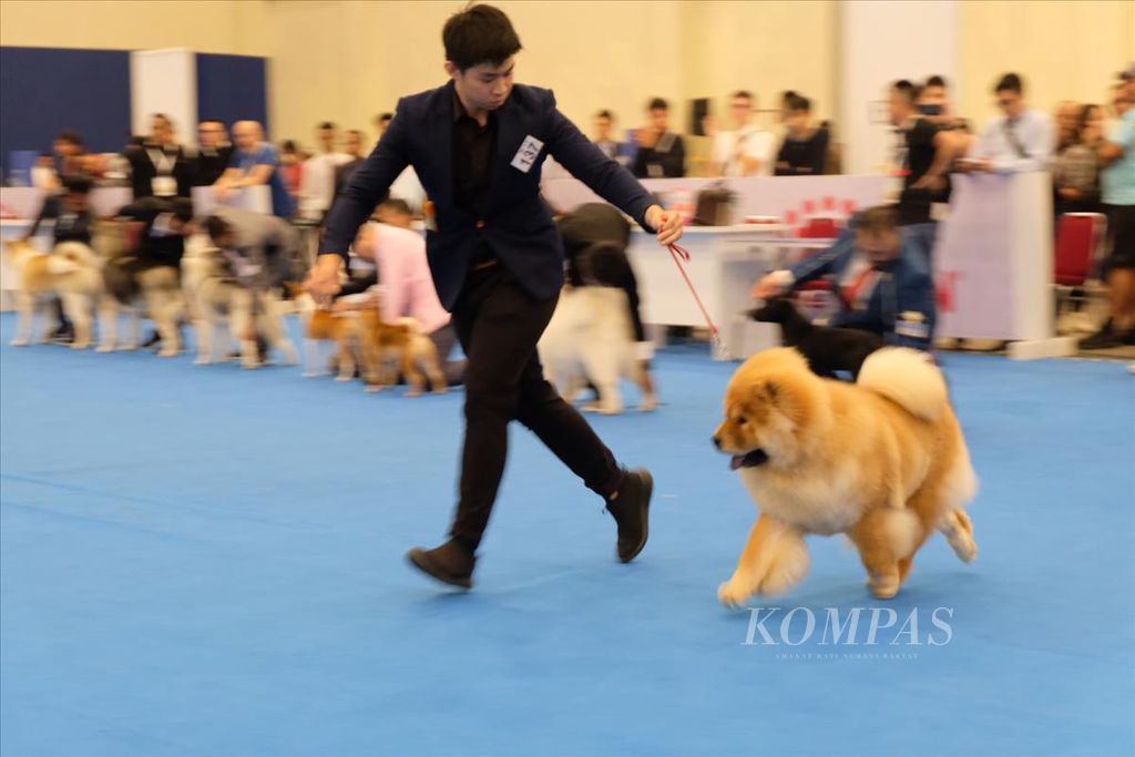 https://assetd.kompas.id/42DyLQN_4diqPzhKJR4-9jAhIm4=/1024x683/filters:watermark(https://cdn-content.kompas.id/umum/kompas_main_logo.png,-16p,-13p,0)/https%3A%2F%2Fkompas.id%2Fwp-content%2Fuploads%2F2019%2F08%2Fe85f1ac2-0874-4eaa-8ded-03d89207a8d7_jpg.jpg