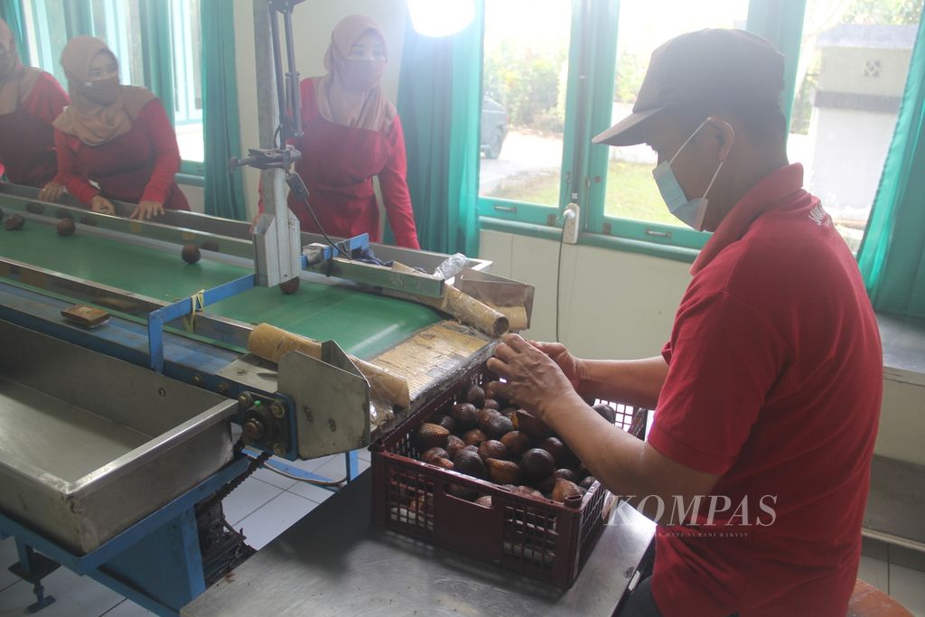 https://assetd.kompas.id/4G3ryxzq_oukd7MGkLZesn__l-M=/1024x683/filters:watermark(https://cdn-content.kompas.id/umum/kompas_main_logo.png,-16p,-13p,0)/https%3A%2F%2Fkompas.id%2Fwp-content%2Fuploads%2F2021%2F06%2Fa2356ea3-275c-42eb-ab63-713afc0c9129_jpg.jpg