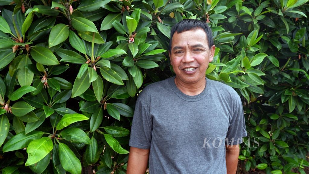 https://assetd.kompas.id/4hRm5wfSbLs8aHvcKY3CwUI3x4w=/1024x576/filters:watermark(https://cdn-content.kompas.id/umum/kompas_main_logo.png,-16p,-13p,0)/https%3A%2F%2Fkompas.id%2Fwp-content%2Fuploads%2F2020%2F12%2FWasito-Pelestari-Mangrove_1608974301.jpg