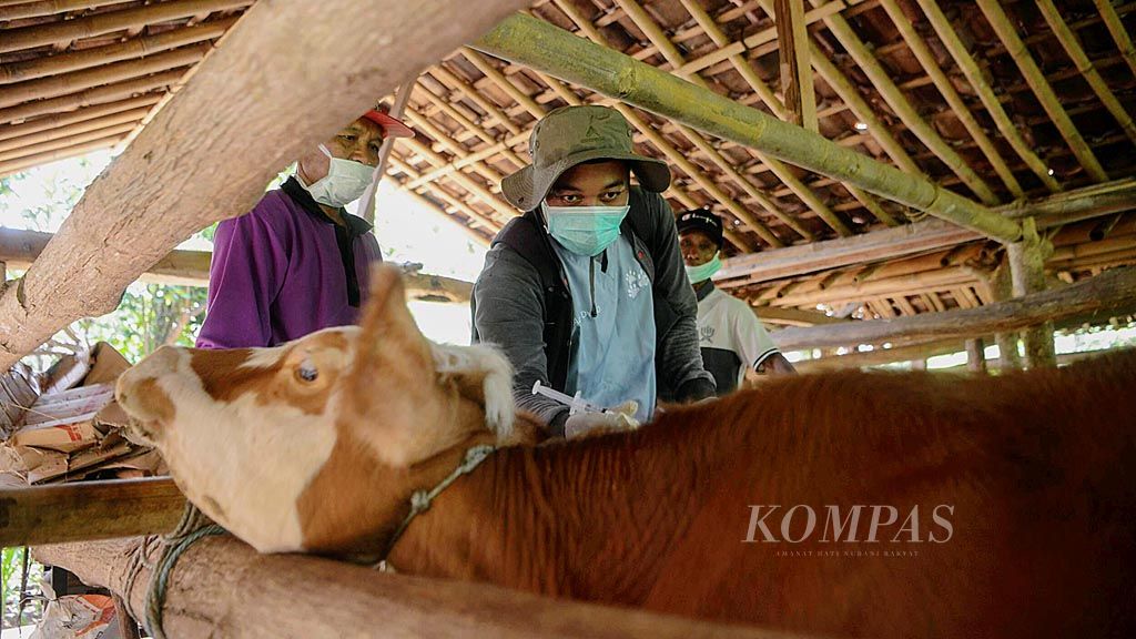 https://assetd.kompas.id/5MQY3U4cNv2AQA1AOP5gQrHBqqI=/1024x576/filters:watermark(https://cdn-content.kompas.id/umum/kompas_main_logo.png,-16p,-13p,0)/https%3A%2F%2Fkompas.id%2Fwp-content%2Fuploads%2F2020%2F02%2FPenyuntikan-Vaksin-Antraks-di-Gunung-Kidul_87608638_1582646541.jpg