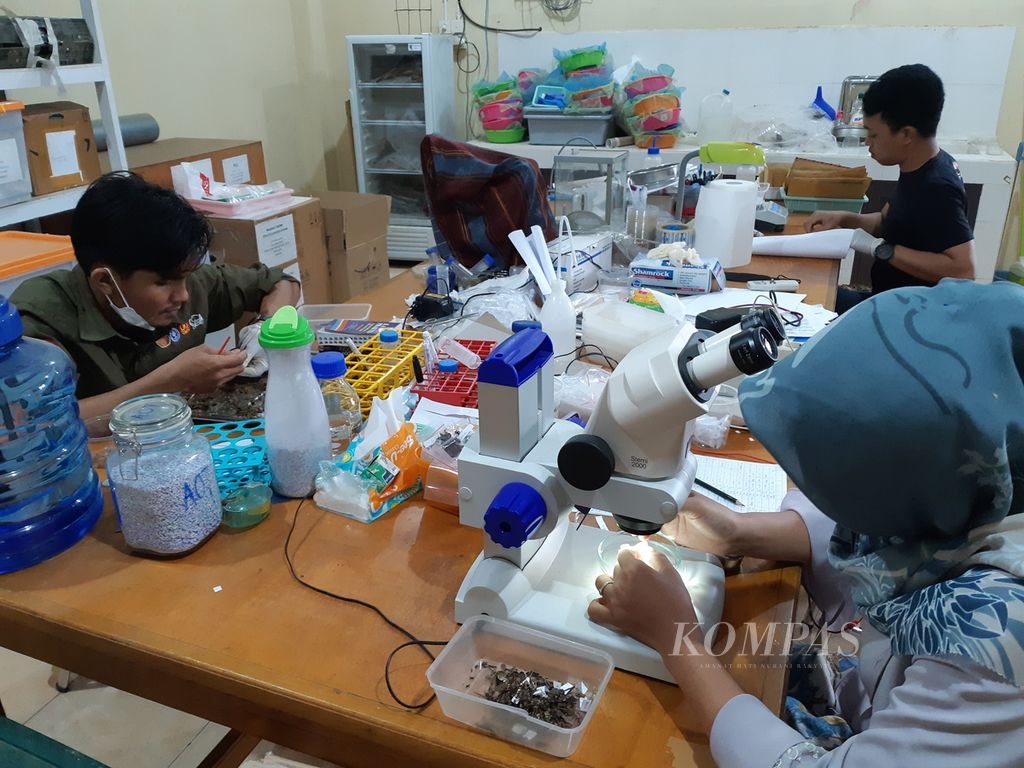 Sejumlah peneliti mengecek spesimen dalam proyek Kolaborasi Riset Jerman-Indonesia CRC990-EFForTS, 30 Desember 2021, di Universitas Jambi. 