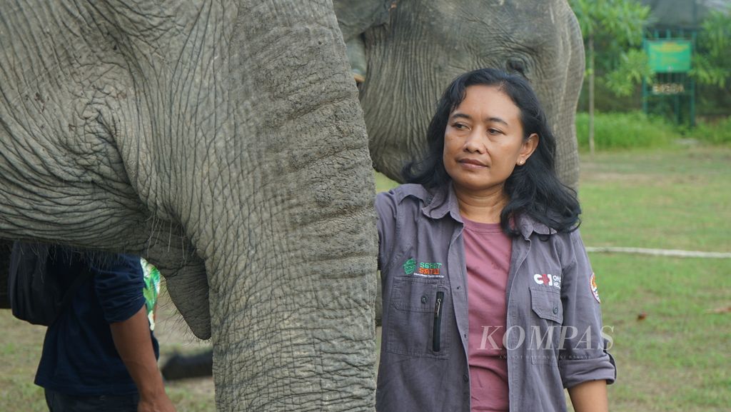 Dokter hewan Erni Suyanti Musabine bersama gajah jinak di Suaka Margasatwa Padang Sugihan, Banyuasin, Sumatera Selatan, Sabtu (14/5/2022). Dia menyelamatkan satwa dilindungi dengan kemampuannya membius.