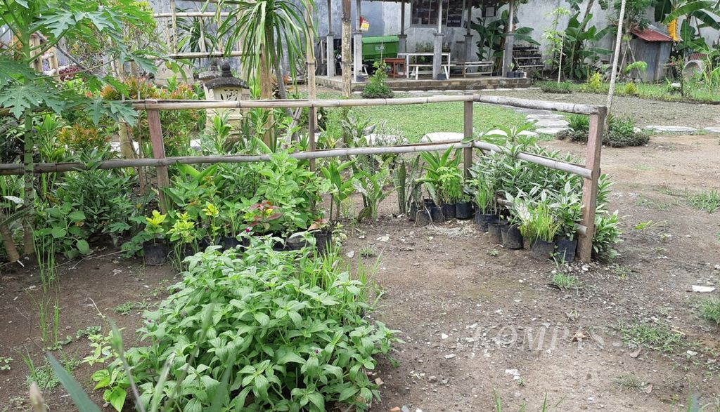https://assetd.kompas.id/7TOBGL5_EOtcDvrj-CdoSbx1J_s=/1024x587/filters:watermark(https://cdn-content.kompas.id/umum/kompas_main_logo.png,-16p,-13p,0)/https%3A%2F%2Fkompas.id%2Fwp-content%2Fuploads%2F2021%2F03%2F20210312cokb-geliat-kota-berkebun-menjaga-kesadaran-warga-denpasar_1615523838.jpg
