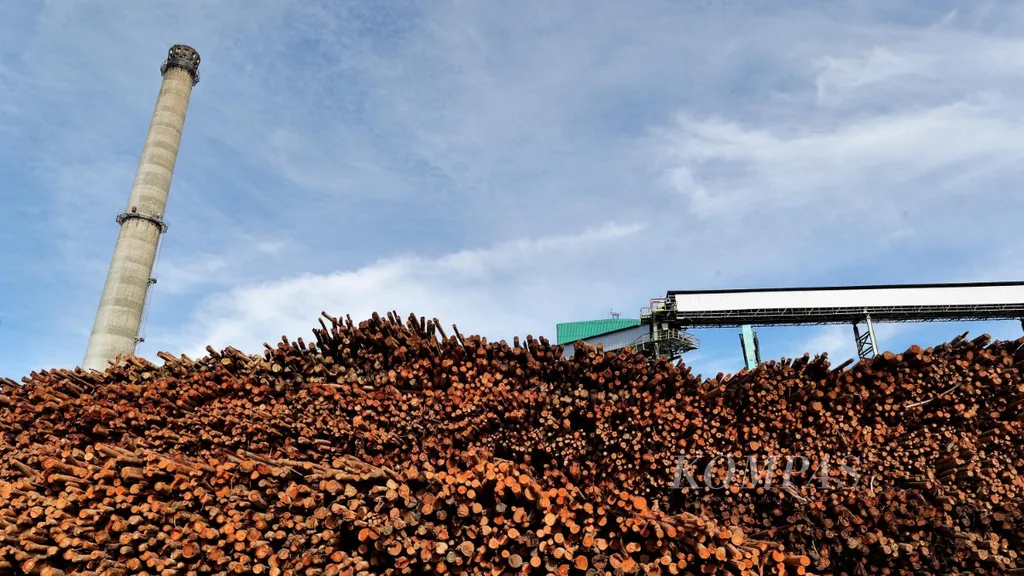 Batang kayu Eucalyptus sebagai bahan dasar pembuatan pulp (bubur kertas) menumpuk disekitar pabrik pengolahan pulp PT Toba Pulp Lestari Tbk, Senin (8/8/2022). Perusahaan yang berada di Kecamatan Parmaksian, Kabupaten Toba, Sumatera Utara, ini setiap hari mampu memproduksi pulp sebanyak 570 ton. Pulp yang dihasilkan sebagian besar untuk memenuhi pasar dalam negeri, sedangkan sisanya (21 persen) diekspor ke China, Taiwan, dan Vietnam KOMPAS/TOTOK WIJAYANTO (TOK) 07-08-2022