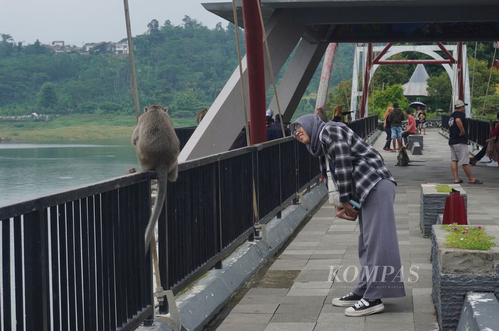 Wisatawan berinteraksi dengan seekor monyet di Goa Kreo, Kecamatan Gunungpati, Kota Semarang, Jawa Tengah, Minggu (29/12/2024). Di Goa Kreo ada sekitar 700 monyet yang hidup berdampingan dengan masyarakat Desa Kandri, Kecamatan Gunungpati. Mereka telah jinak sehingga terbiasa berinteraksi dengan pengunjung. 