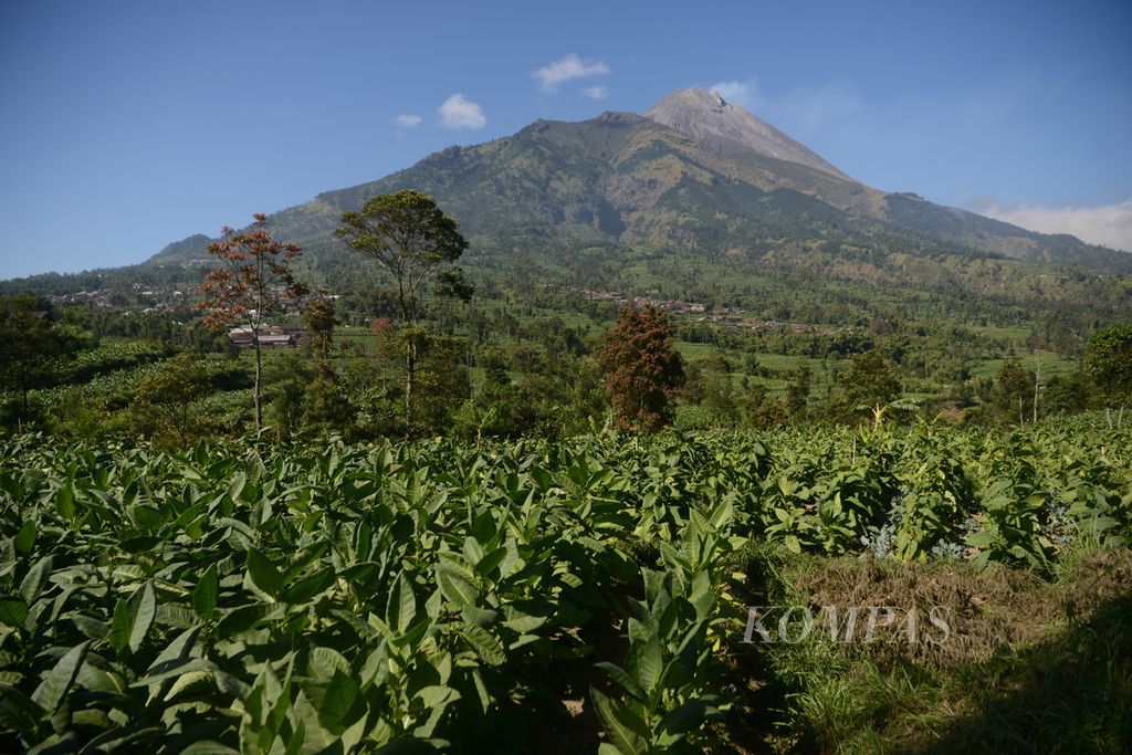 https://assetd.kompas.id/8fIrCZqf7zz3odRUqYauxauXA7E=/1024x683/filters:watermark(https://cdn-content.kompas.id/umum/kompas_main_logo.png,-16p,-13p,0)/https%3A%2F%2Fkompas.id%2Fwp-content%2Fuploads%2F2020%2F08%2F5bfad180-35f0-4958-8b31-c08a24a94207_jpg.jpg