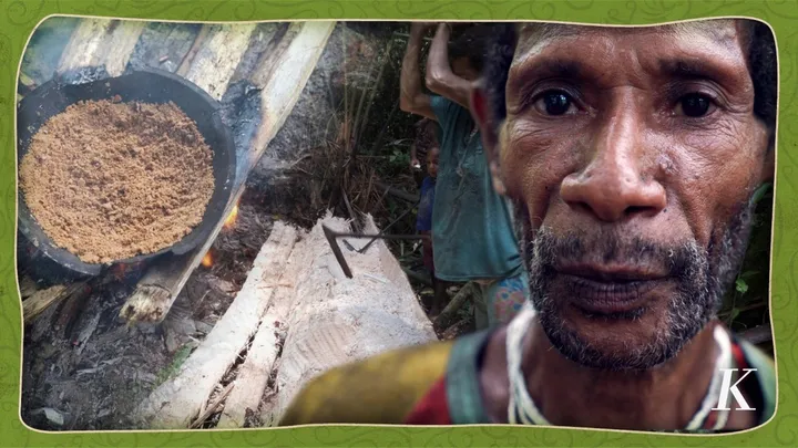 Tradisi Pangkur Sagu di Boven Digoel Mulai Tergantikan Budaya Menanak Nasi