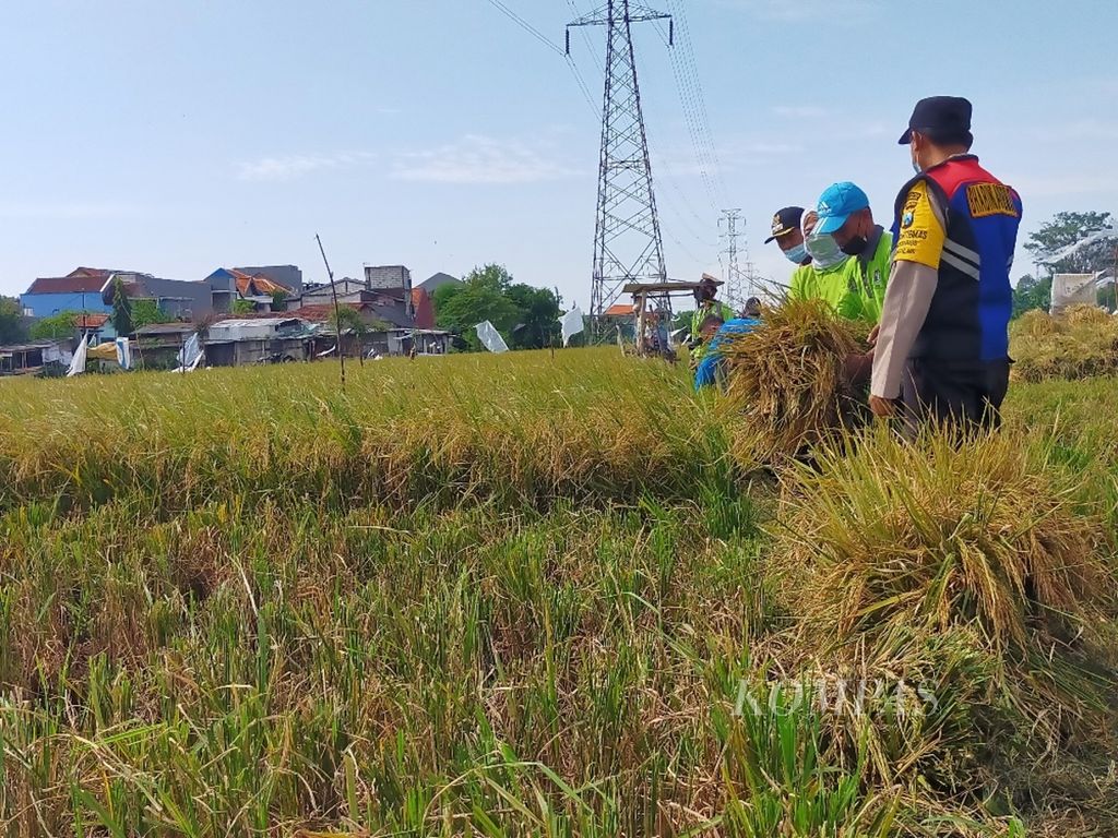 https://assetd.kompas.id/99WLjujzolOX6T6pSlqNr02mRvw=/1024x768/filters:watermark(https://cdn-content.kompas.id/umum/kompas_main_logo.png,-16p,-13p,0)/https%3A%2F%2Fkompas.id%2Fwp-content%2Fuploads%2F2022%2F01%2Ff23ca92c-3186-418c-bbde-4aa318627a7f_jpg.jpg