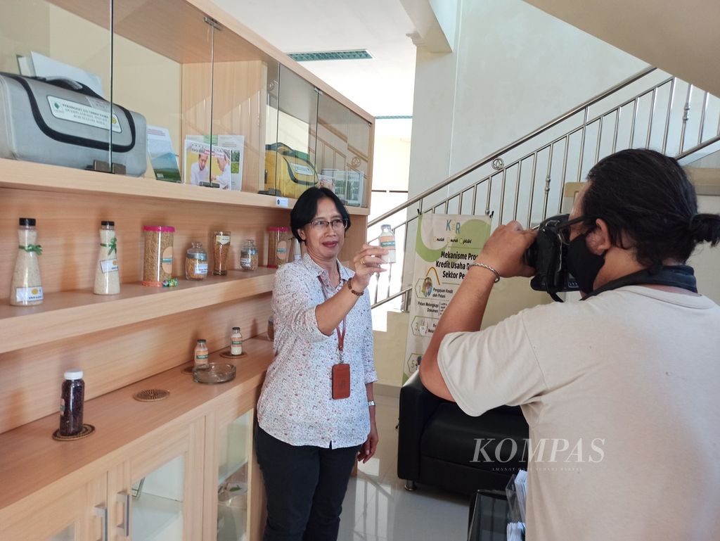 Kepala Balai Pengkajian Teknologi Pertanian (BPTP) Papua Martina Sri Lestari, 9 November 2021, menunjukkan hasil inovasi lembaga yang berada di bawah Badan Penelitian dan Pengembangan Kementerian Pertanian tersebut, kepada fotografer <i>Kompas</i> di Kantor BPTP Papua di Sentani, Kabupaten Jayapura, Papua.