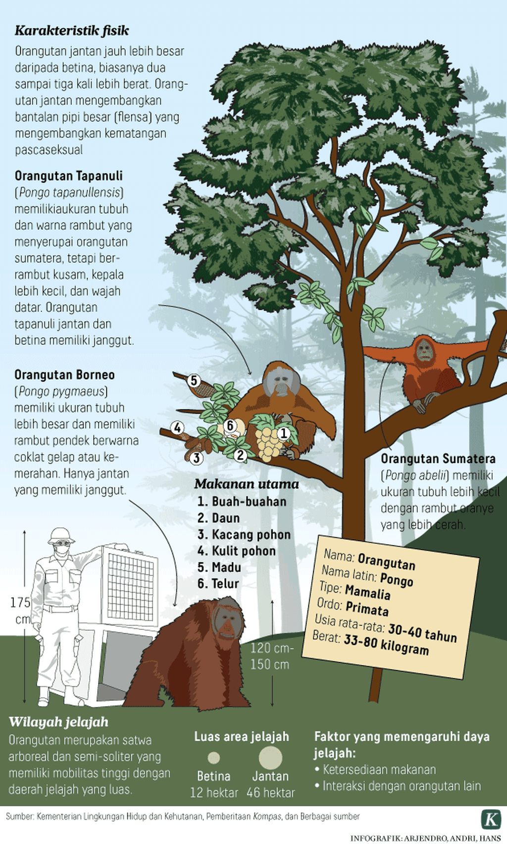 https://assetd.kompas.id/9o9VwvxZ9-BCsFS9n-oReMFfG44=/1024x1703/https%3A%2F%2Fkompas.id%2Fwp-content%2Fuploads%2F2020%2F08%2F20200818_H30_T3_otan_3_mumed_1597749993.png