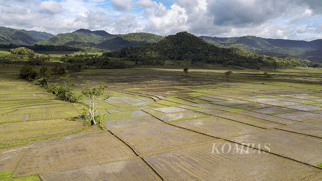 https://assetd.kompas.id/9upgYhDF9Bve2rpGX63OQeFvlWI=/1024x576/filters:watermark(https://cdn-content.kompas.id/umum/kompas_main_logo.png,-16p,-13p,0)/https%3A%2F%2Fkompas.id%2Fwp-content%2Fuploads%2F2018%2F02%2F514715_getattachment93e423cd-9194-4c7b-9e9f-cd3e1d75c77f506099.jpg