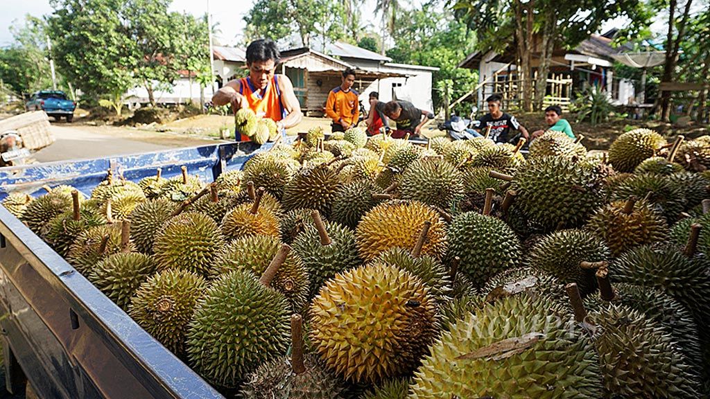 https://assetd.kompas.id/ADkGsrVTEXpMbnjRDAqgJumwWAY=/1024x576/filters:watermark(https://cdn-content.kompas.id/umum/kompas_main_logo.png,-16p,-13p,0)/https%3A%2F%2Fkompas.id%2Fwp-content%2Fuploads%2F2018%2F07%2F67871479.jpg