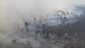 Karhutla Masih Jadi Ancaman, 184 Titik Panas Terdeteksi