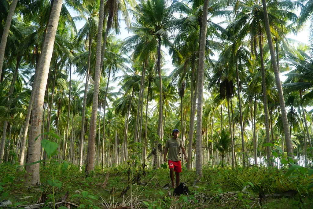 Aceh-Sumut Berebut Empat Pulau, di Sulsel dan Sultra ada Kawi-Kawia