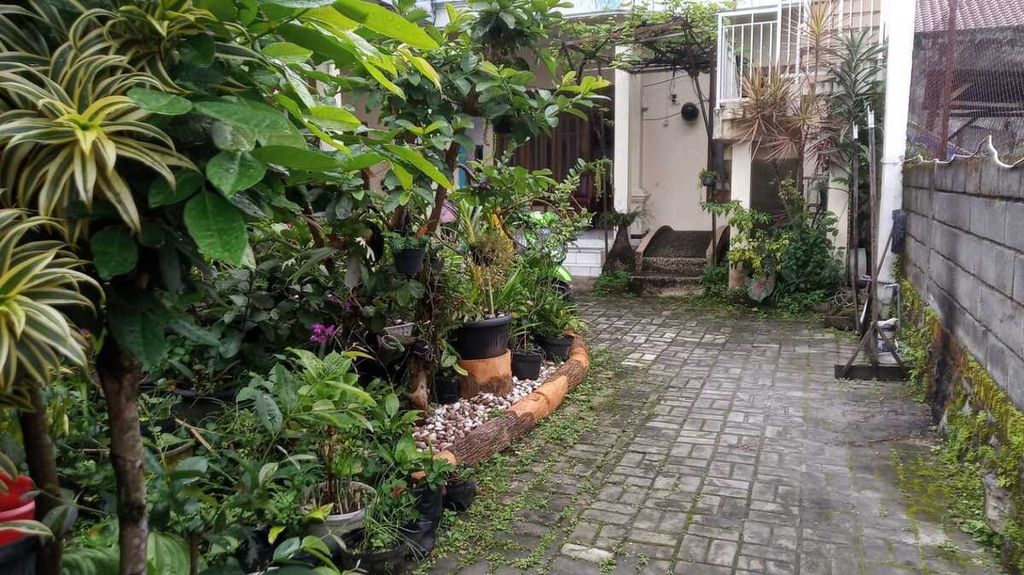 Halaman rumah Krispati (35) di lingkungan RT 03 RW 10, Krajan, Kelurahan Pesanggrahan, Kecamatan Batu, Kabupaten Malang, Jawa Timur, yang asri oleh berbagai jenis tanaman, termasuk cabai.