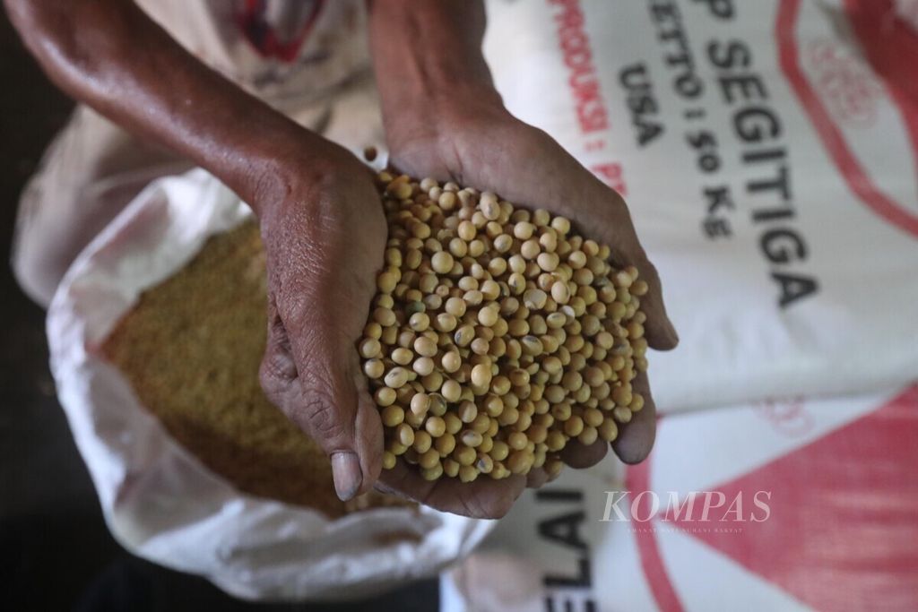 Buruh angkut mengecek kondisi kedelai impor di tempat penjualan di kawasan Pancoran, Jakarta Selatan, Senin (4/1/2021). Dalam sebulan terakhir, bahan baku utama pembuatan tahu dan tempe tersebut naik dari Rp 7.200 per kilogram menjadi Rp 9.500 per kilogram. Kemudian per 20 Januari 2022, harga kedelai impor yang dijual di dalam negeri itu sudah mencapai Rp 15.400 per kg.