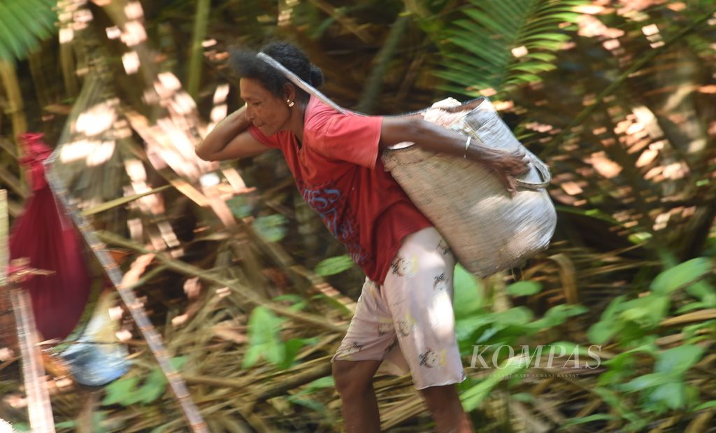 https://assetd.kompas.id/CEkAxc2jwlQtnKRIbXhyu4JUNAU=/1024x619/filters:watermark(https://cdn-content.kompas.id/umum/kompas_main_logo.png,-16p,-13p,0)/https%3A%2F%2Fkompas.id%2Fwp-content%2Fuploads%2F2021%2F12%2F7a036bf5-9a0d-400c-b4ea-bd191e124a17_jpg.jpg