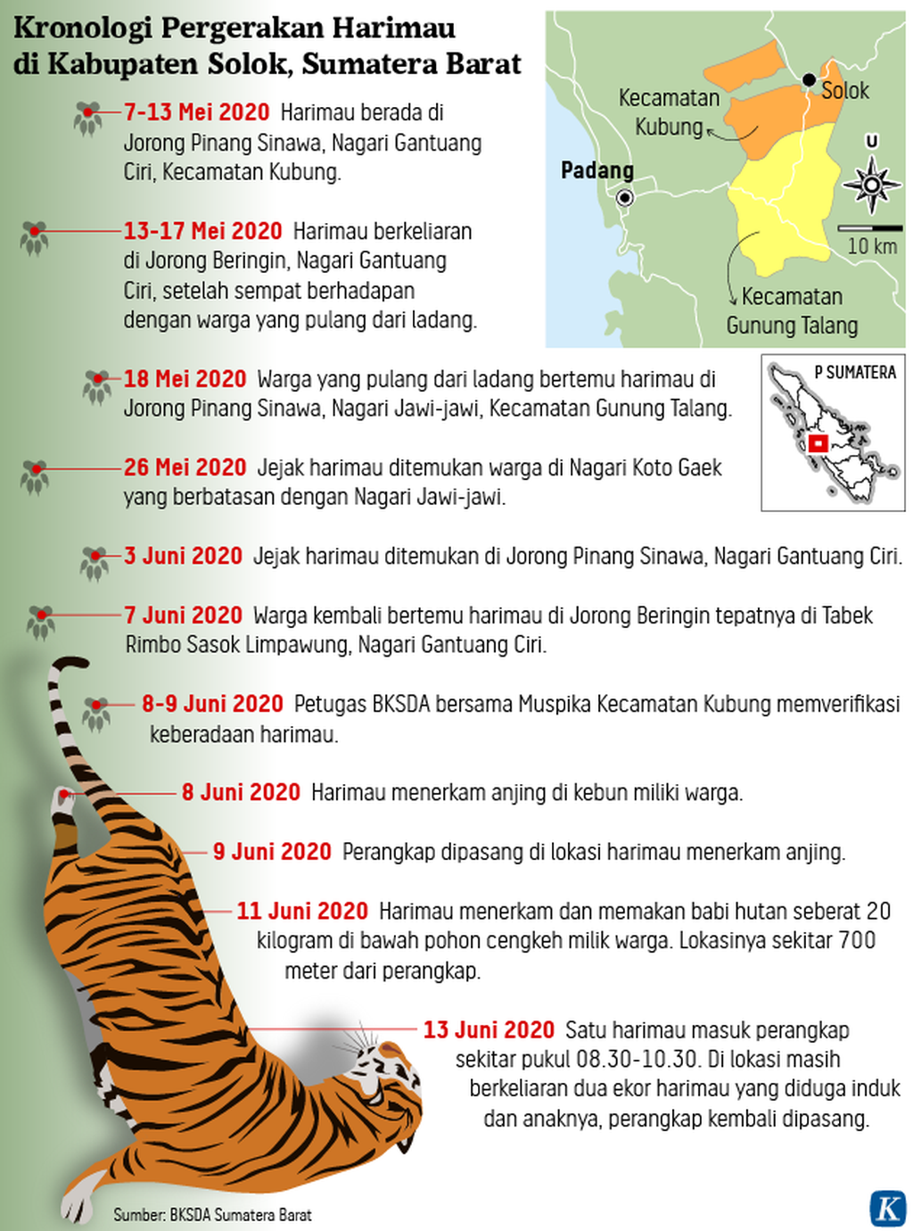 https://assetd.kompas.id/Cv51mBv7Q_6As9S7zqrnEI_rgls=/1024x1380/https%3A%2F%2Fasset.kgnewsroom.com%2Fphoto%2Fpre%2F2020%2F06%2F15%2F20200615-NNN-Kronologi-Harimau-mumed_1592227429_png.png