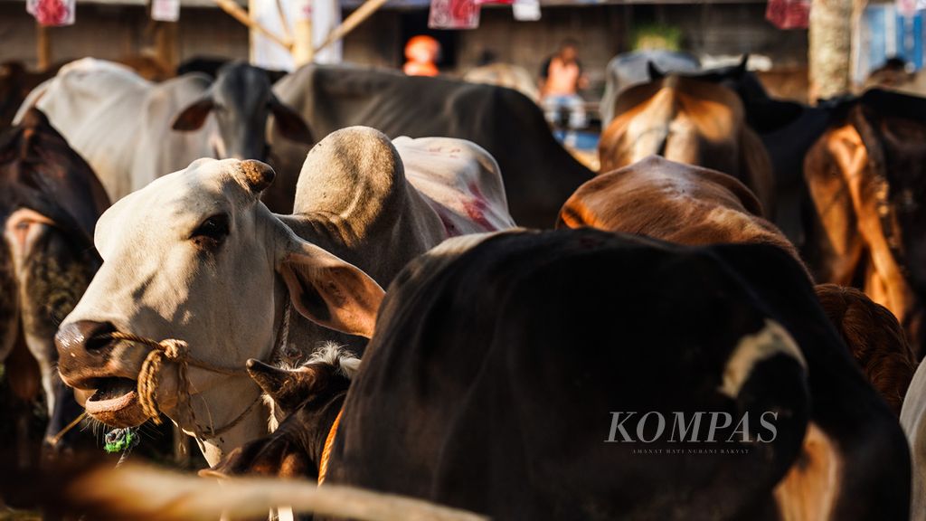 https://assetd.kompas.id/CxmpetovIPPKbWXG0q1gxncMPFA=/1024x576/filters:watermark(https://cdn-content.kompas.id/umum/kompas_main_logo.png,-16p,-13p,0)/https%3A%2F%2Fkompas.id%2Fwp-content%2Fuploads%2F2021%2F07%2F6ba904d5-c160-4659-bf5d-2583ef325488_jpg.jpg