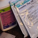 Antibiotik Ternak Beredar Bebas Tanpa Pengawasan