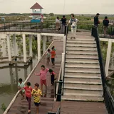 Mengelilingi Taman Mangrove Ketapang