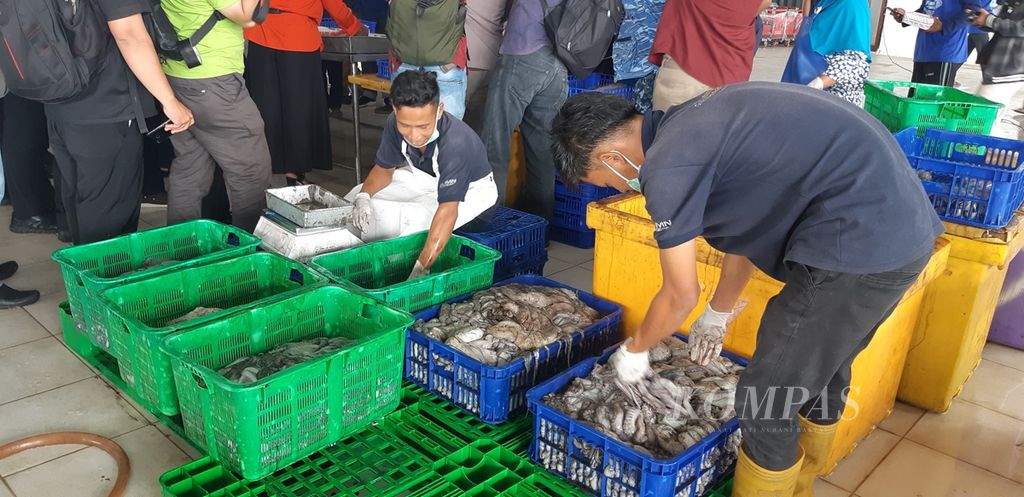 https://assetd.kompas.id/E6Y6jf5jf6UYoAg-IVvd041va-4=/1024x497/filters:watermark(https://cdn-content.kompas.id/umum/kompas_main_logo.png,-16p,-13p,0)/https%3A%2F%2Fkompas.id%2Fwp-content%2Fuploads%2F2019%2F10%2F4ff70297-b80b-4a5a-b3fc-083ae850da26_jpg.jpg