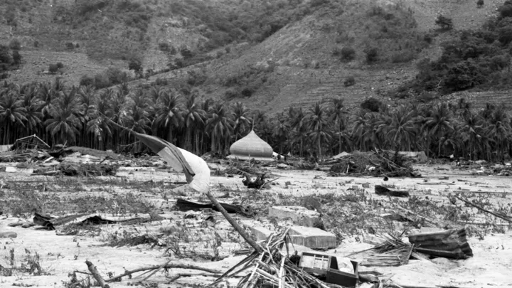 Teluku untuk artikel Sesar Naik Flores