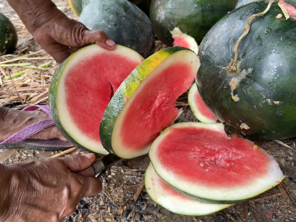 Siti Komah (62), pemulung buah di Pasar Kramatjati, Jakarta Timur, sedang memotong semangka, lapis per lapis, hingga menemukan bagian yang menurut dia layak dimakan dan dijual, Jumat (17/2/2023).