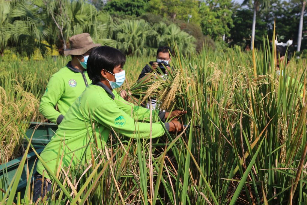 https://assetd.kompas.id/EvWVySbuk1Ux_4bRI_DBy53xCCY=/1024x683/https%3A%2F%2Fkompas.id%2Fwp-content%2Fuploads%2F2021%2F08%2F20210830ETAF_1630300827.jpg