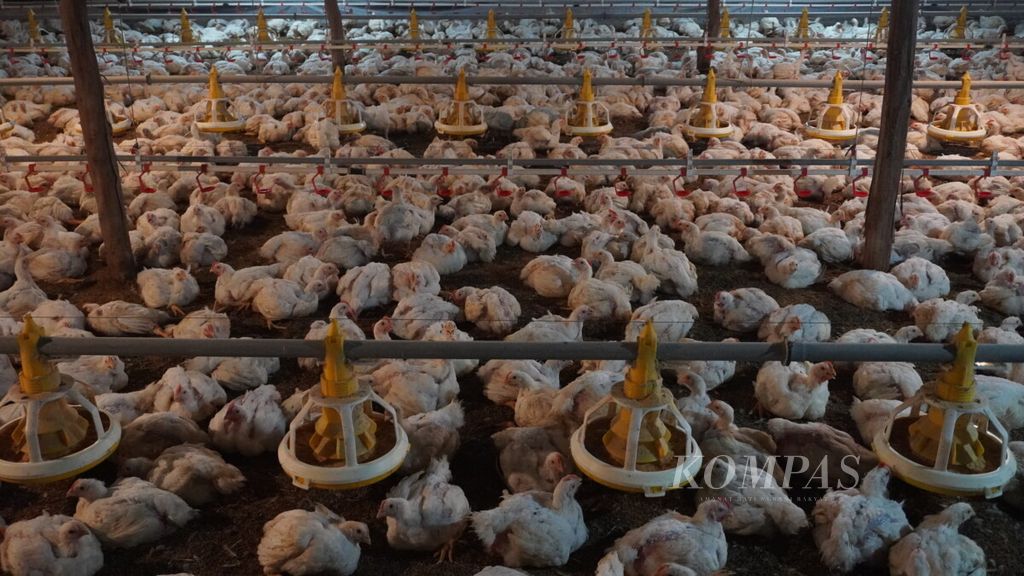 https://assetd.kompas.id/FlXhqK_dZoB6jN2NV3sHZkXo5uA=/1024x576/filters:watermark(https://cdn-content.kompas.id/umum/kompas_main_logo.png,-16p,-13p,0)/https%3A%2F%2Fkompas.id%2Fwp-content%2Fuploads%2F2021%2F07%2FDSC06010_1625588589.jpg